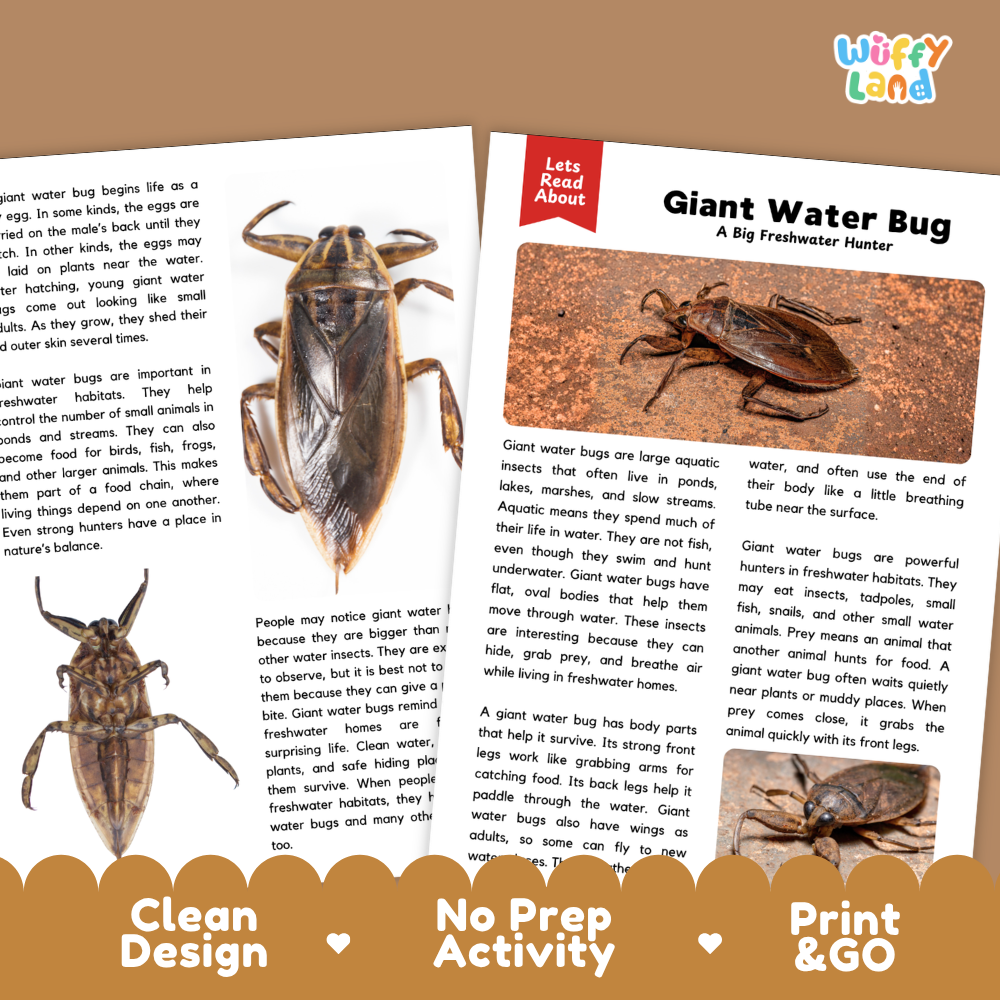 An open children's activity book spread showing a printed page about giant water bugs, with a large printed bug photo on the right page and activity text on the left page. The cover reads 'Let's About' and 'Giant Water Bug' with a small 'Jelly Land' logo.