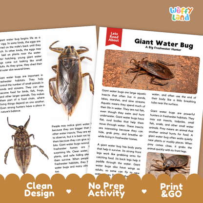 An open children's activity book spread showing a printed page about giant water bugs, with a large printed bug photo on the right page and activity text on the left page. The cover reads 'Let's About' and 'Giant Water Bug' with a small 'Jelly Land' logo.