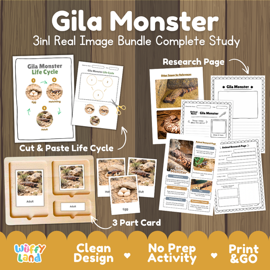 Gila Monster 3-in-1 real image bundle complete study cover showing cut and paste life cycle, 3 part cards, and research pages