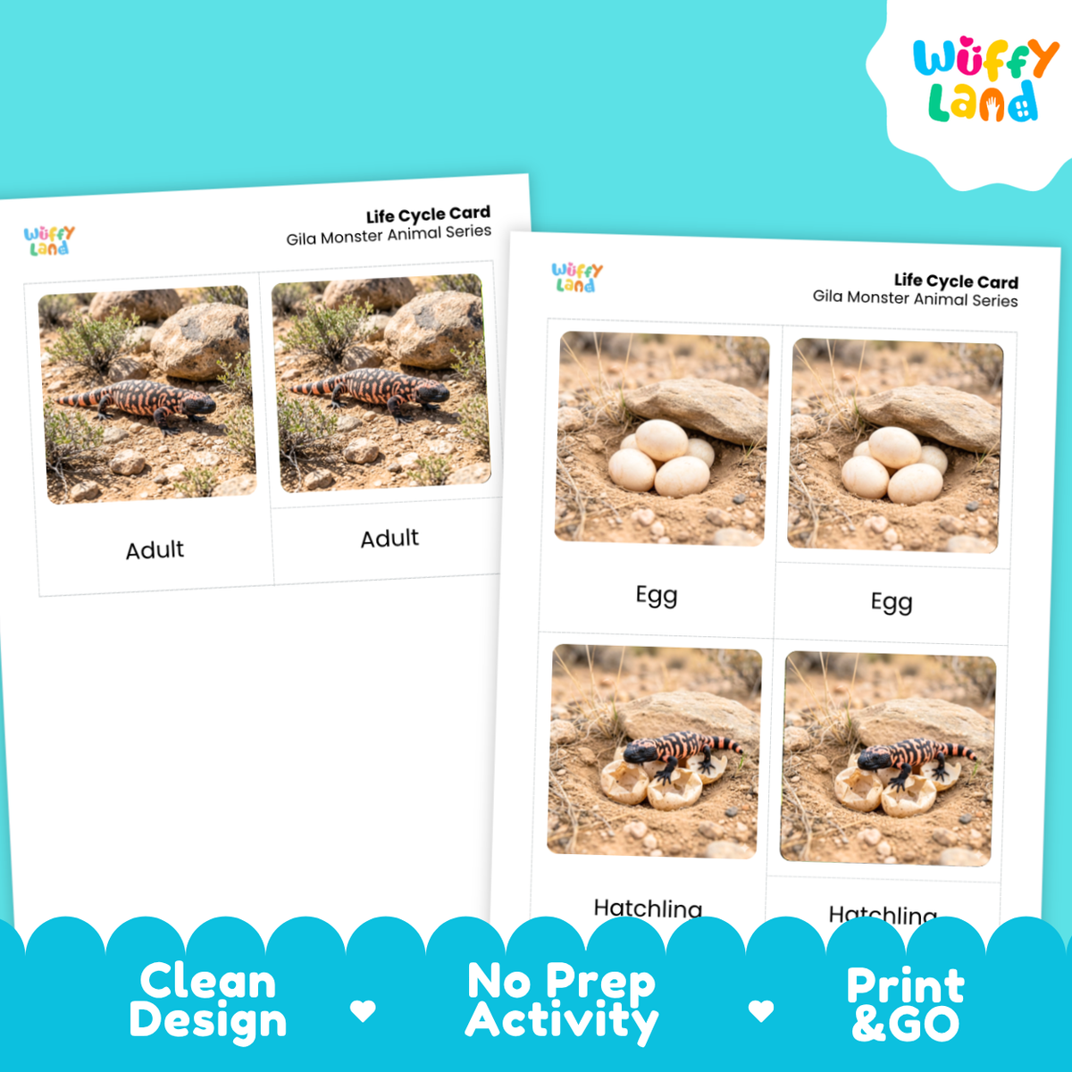 Gila Monster Life Cycle Flashcards 3 Part Cards Montessori Science Activity