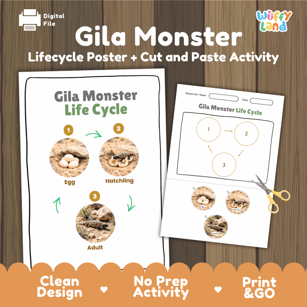 Gila Monster Life Cycle Poster and Cut and Paste Activity Worksheets