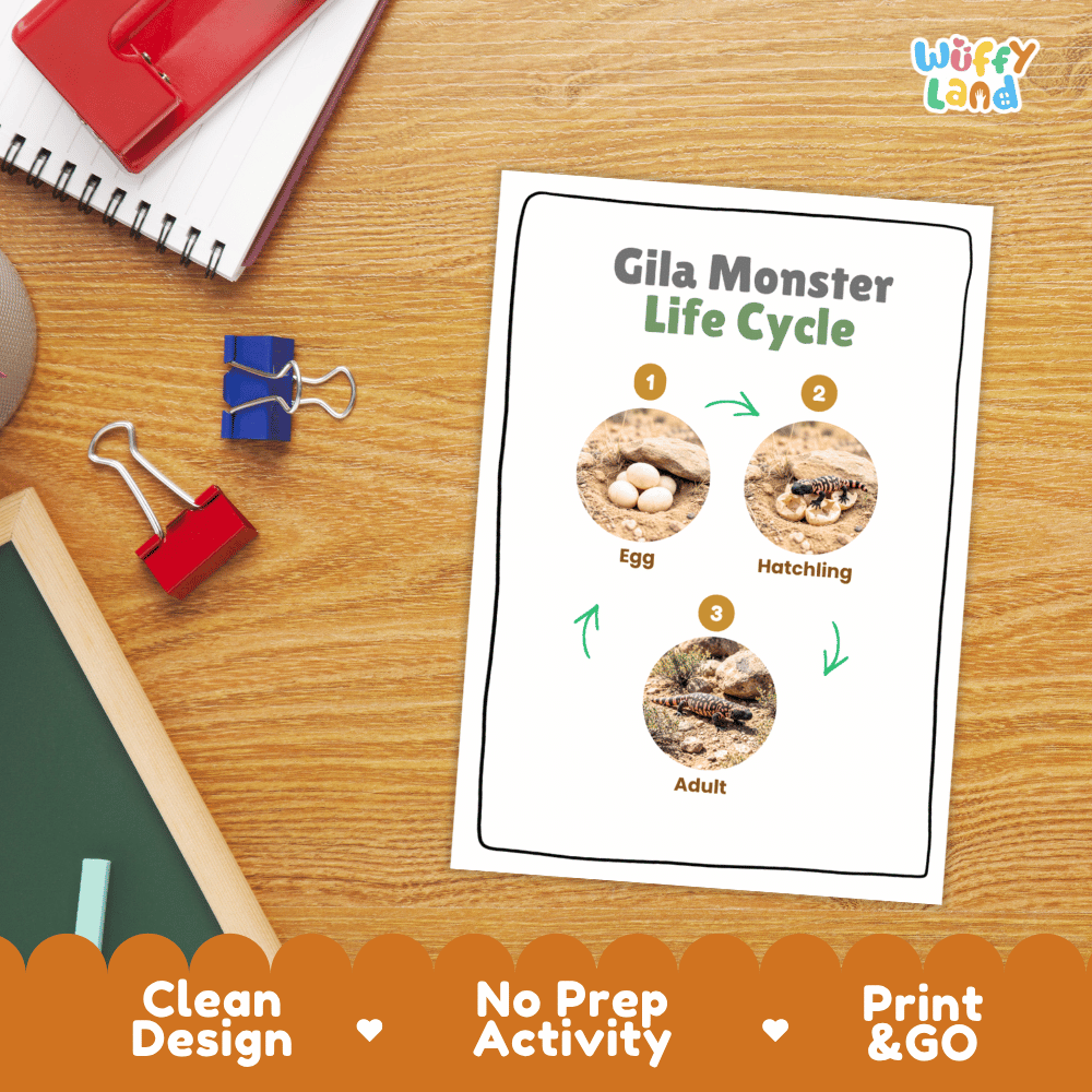 Gila Monster Life Cycle Poster and Cut and Paste Activity Worksheets