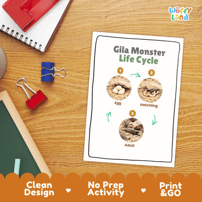 Gila Monster Life Cycle Poster and Cut and Paste Activity Worksheets