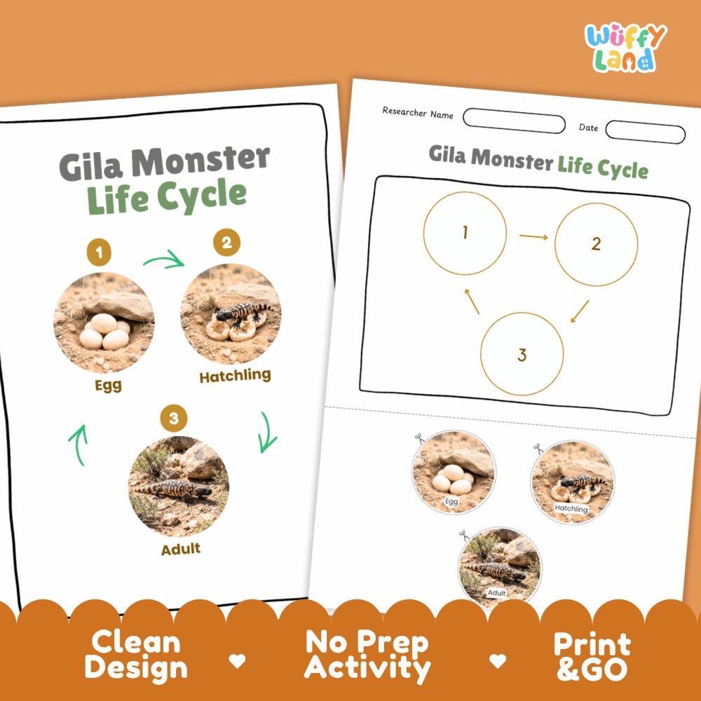 Gila Monster Life Cycle Poster and Cut and Paste Activity Worksheets