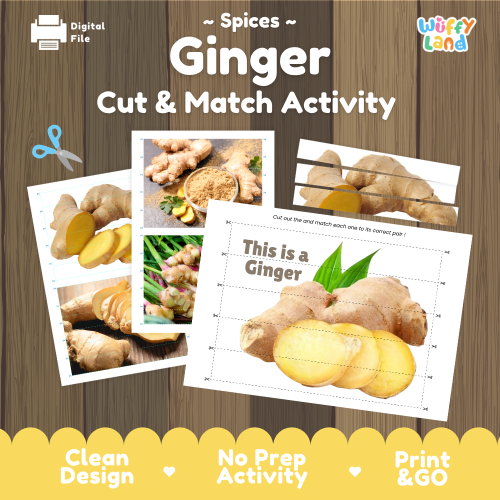 Ginger cut and match activity cover showing printable fine motor puzzle sheets and root photographs