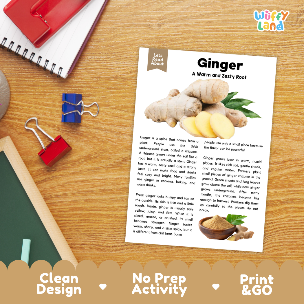 Student reading comprehension worksheet with short-answer questions and lined sections about ginger spice