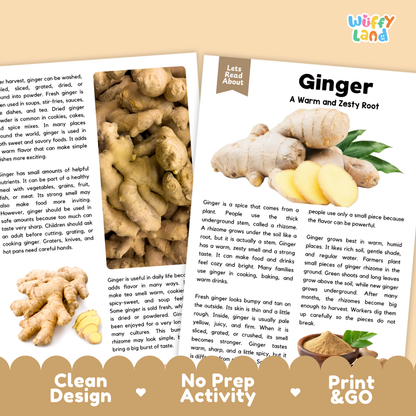 Teacher answer key page showing complete question solutions for ginger reading comprehension practice