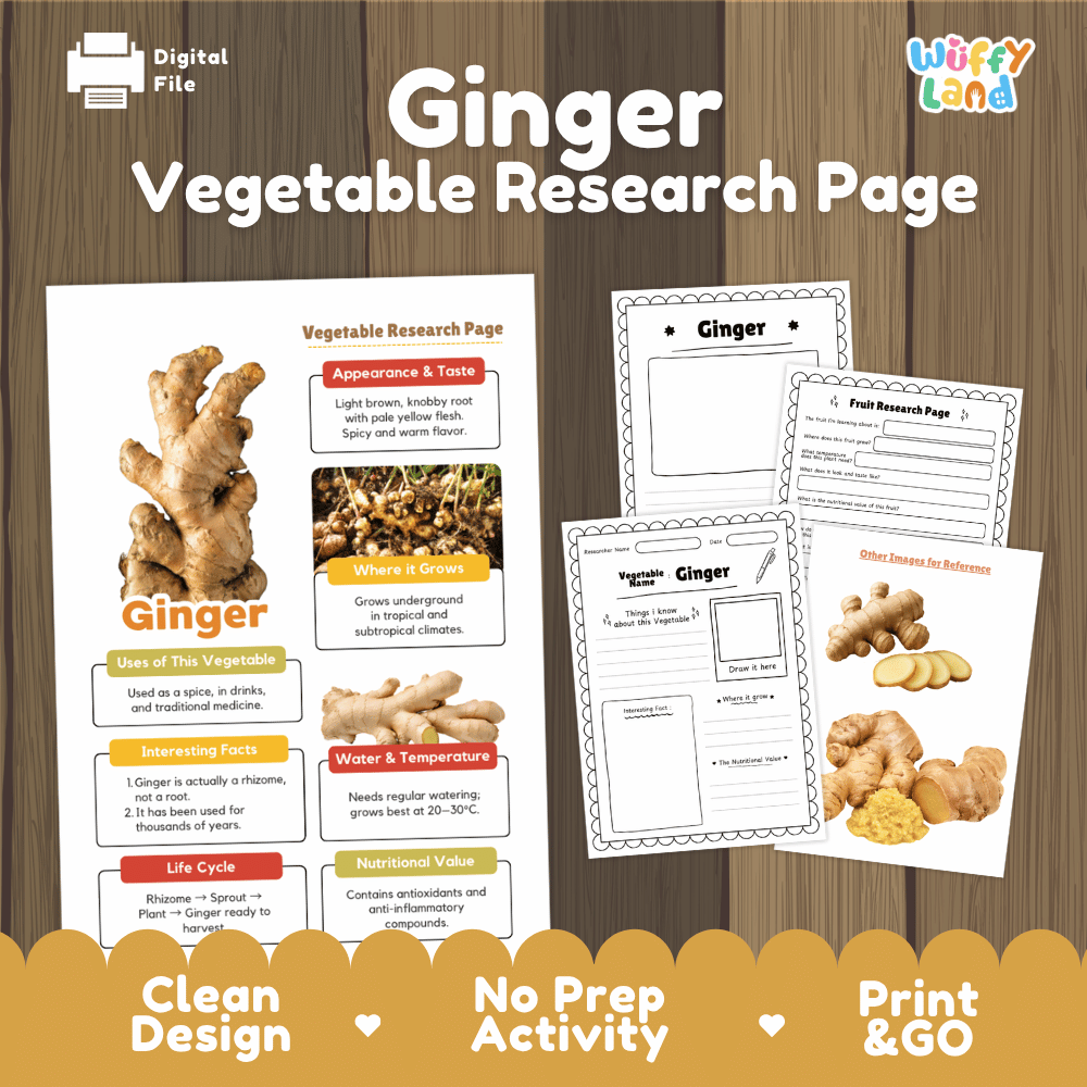 Ginger Vegetable Research Page Worksheets