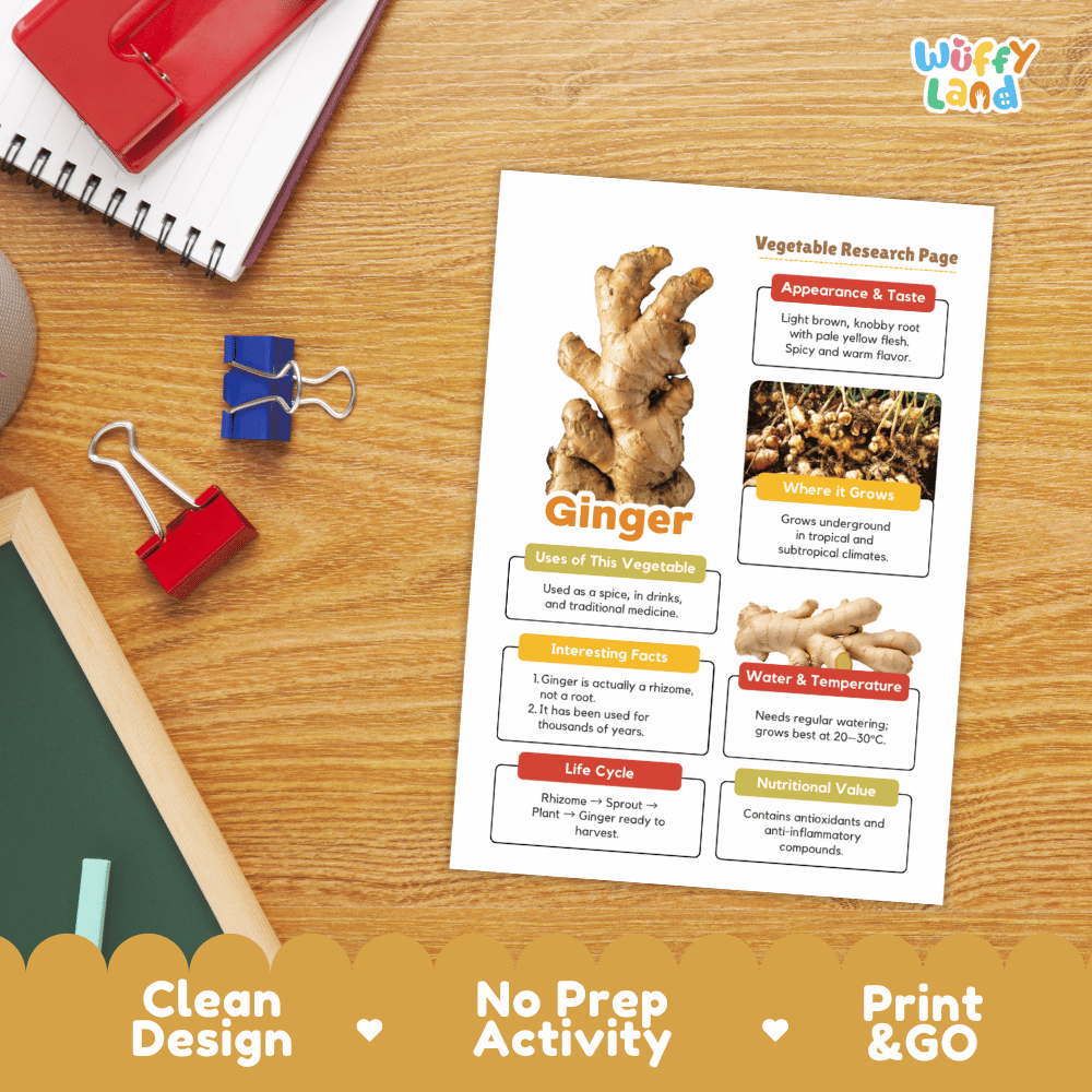 Ginger Vegetable Research Page Worksheets