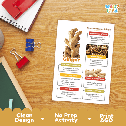 Ginger Vegetable Research Page Worksheets