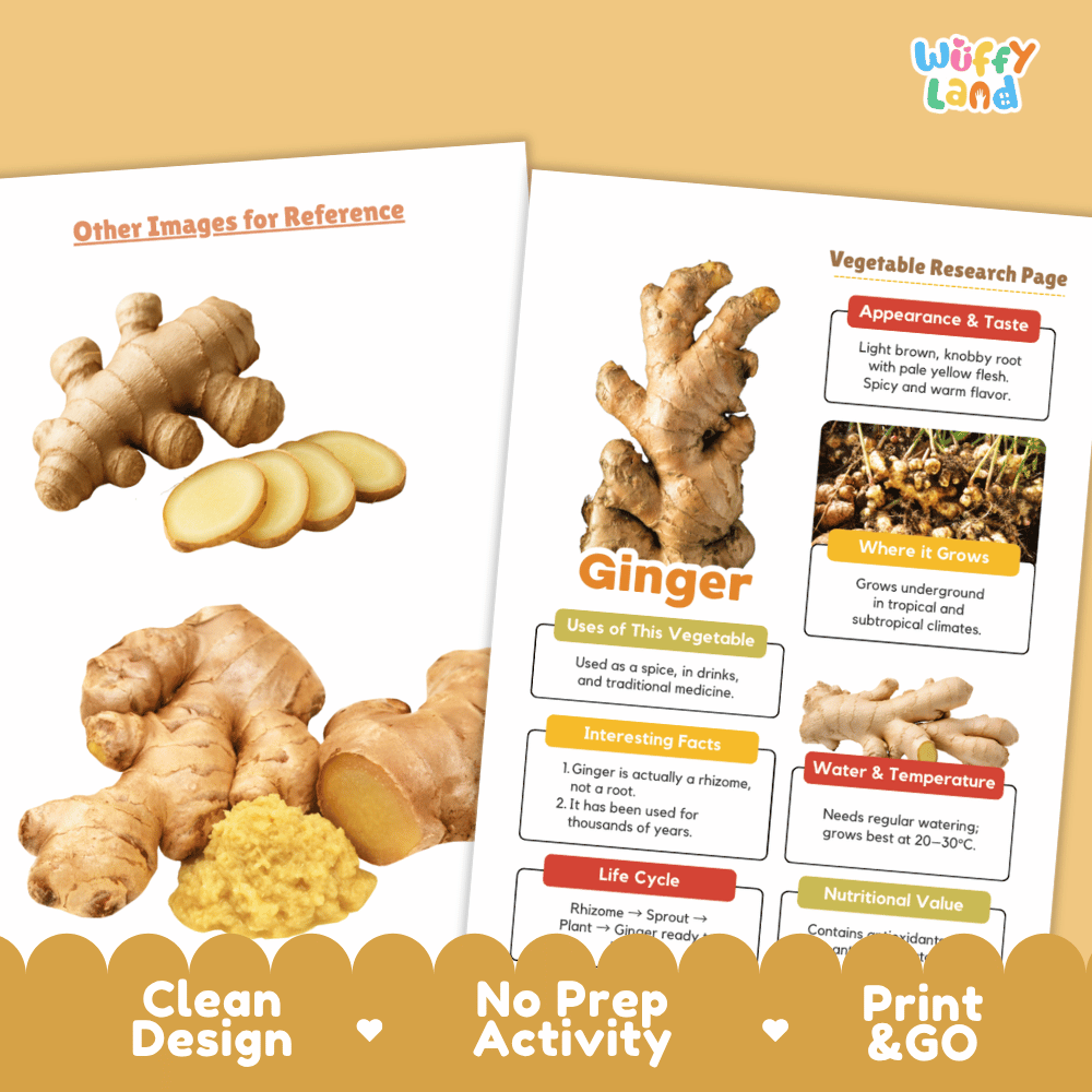 Ginger Vegetable Research Page Worksheets