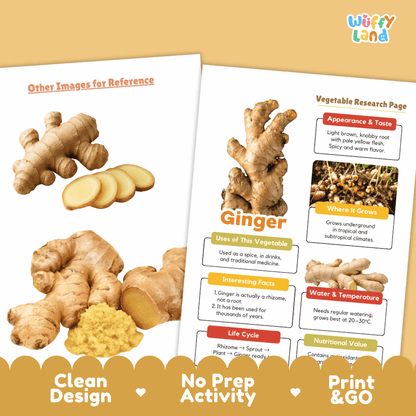Ginger Vegetable Research Page Worksheets