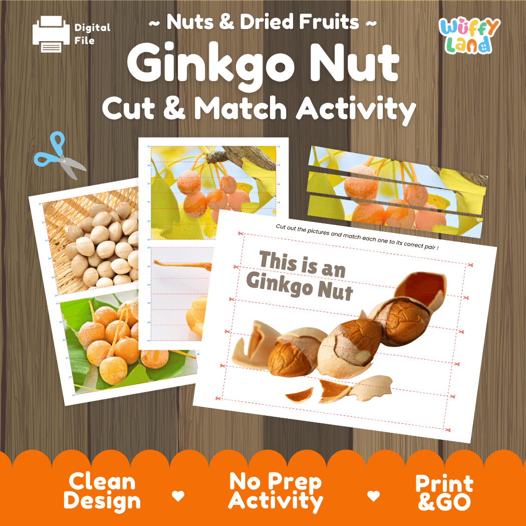 Ginkgo Nut Cut and Match Activity Worksheets | Nuts and Dried Fruits Puzzle Printables