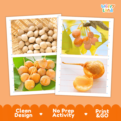 Ginkgo Nut Cut and Match Activity Worksheets | Nuts and Dried Fruits Puzzle Printables
