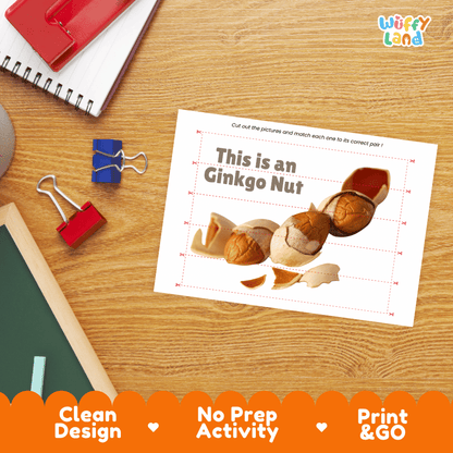 Ginkgo Nut Cut and Match Activity Worksheets | Nuts and Dried Fruits Puzzle Printables