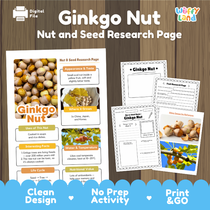 Digital printable educational resource for a 'Ginkgo Nut' research page, featuring a main poster and three worksheet pages on a wood-grain background with blue decorative banners at the bottom.