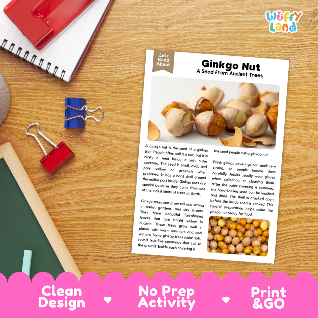 An educational activity sheet titled 'Ginkgo Nut: A Seed from Ancient Trees' by Wiffle Land, displayed on a wooden desk with a red notebook, blue binder clips, and a red pen. The sheet features a small photo of a hand collecting a ginkgo nut and a text description of the plant.