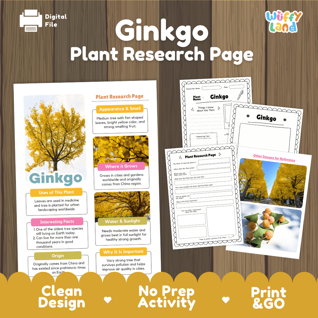 Ginkgo Plant Research Page Worksheets and Fact Sheet