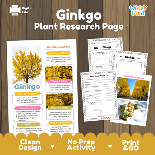 Ginkgo Plant Research Page Worksheets and Fact Sheet