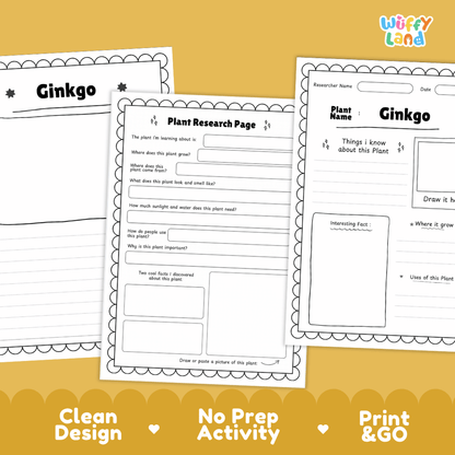 Ginkgo Plant Research Page Worksheets and Fact Sheet