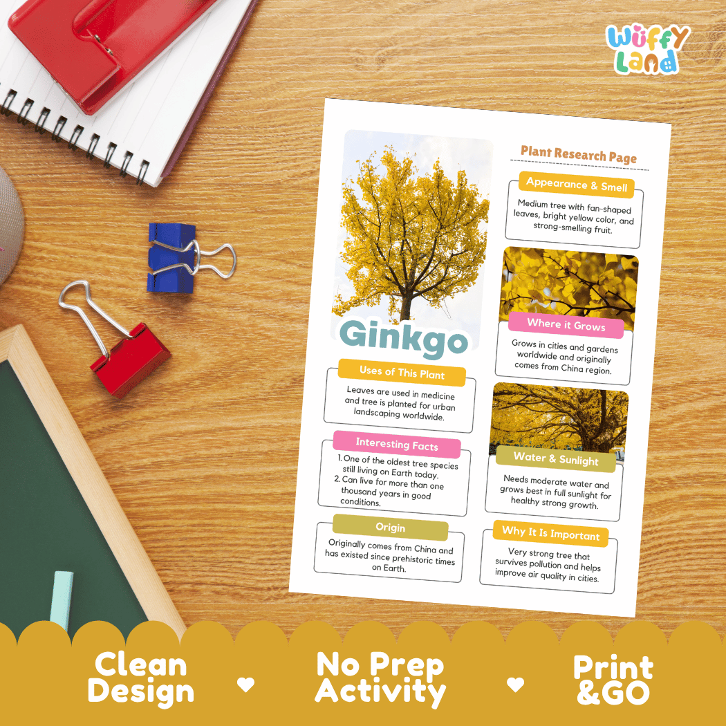Ginkgo Plant Research Page Worksheets and Fact Sheet
