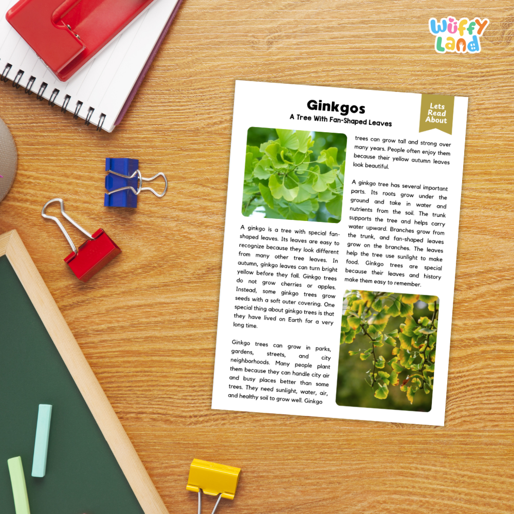 Ginkgo Tree Plant Reading Passages Worksheets and Comprehension Activity