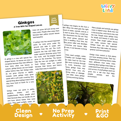 Ginkgo Tree Plant Reading Passages Worksheets and Comprehension Activity