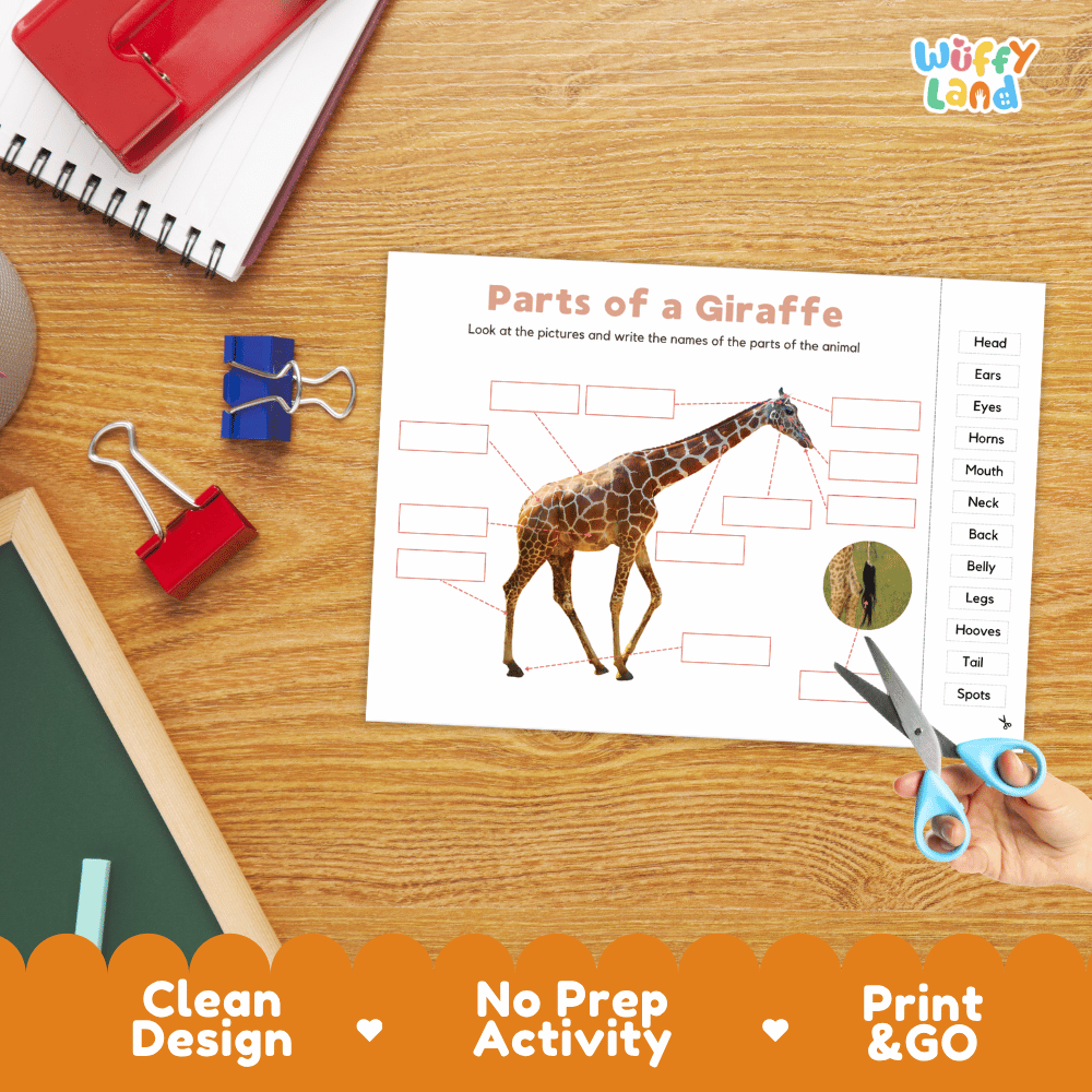 Printable animal science worksheet showing a realistic standing giraffe with blank labeling boxes and a vocabulary word bank for writing practice