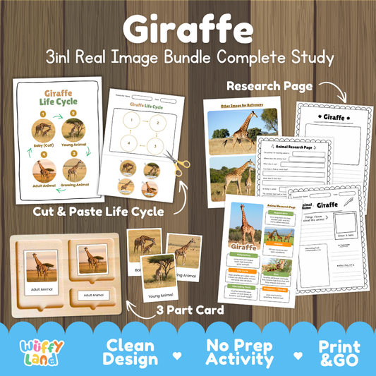 Giraffe 3-in-1 real image bundle complete study cover showing cut and paste life cycle, 3 part cards, and research pages