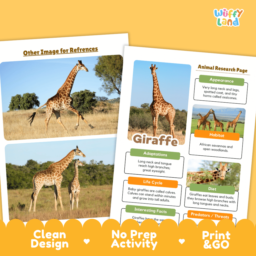 An educational animal research activity sheet about giraffes, shown alongside reference images of giraffes on a warm yellow background. The sheet includes labeled sections for appearance, habitat, adaptations, life cycle, diet, and interesting facts, with the brand name 'Wiffly Land' in the top right corner.