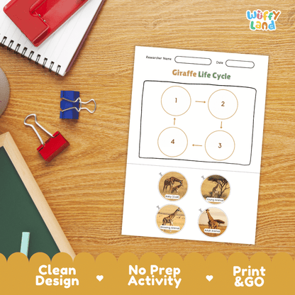 Giraffe Lifecycle Poster and Cut and Paste Activity Worksheets | Animal Science Printables