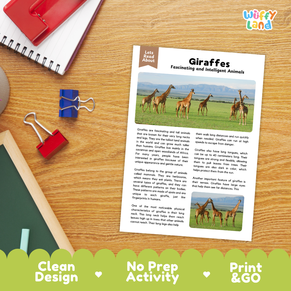 An educational activity sheet titled 'Giraffes: Feisty and Intelligent Animals' displayed on a wooden desk with a red notebook, binder clips, and other school supplies. The sheet features text and two color illustrations of giraffes.