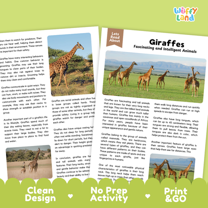 Giraffes Reading Passage and Comprehension Questions Worksheets