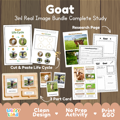 Goat 3-in-1 real image bundle complete study cover showing cut and paste life cycle, 3 part cards, and research pages