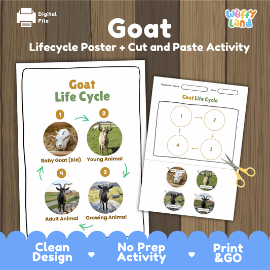 Goat life cycle sequencing reference chart and cut and paste student worksheet with 4 developmental stages