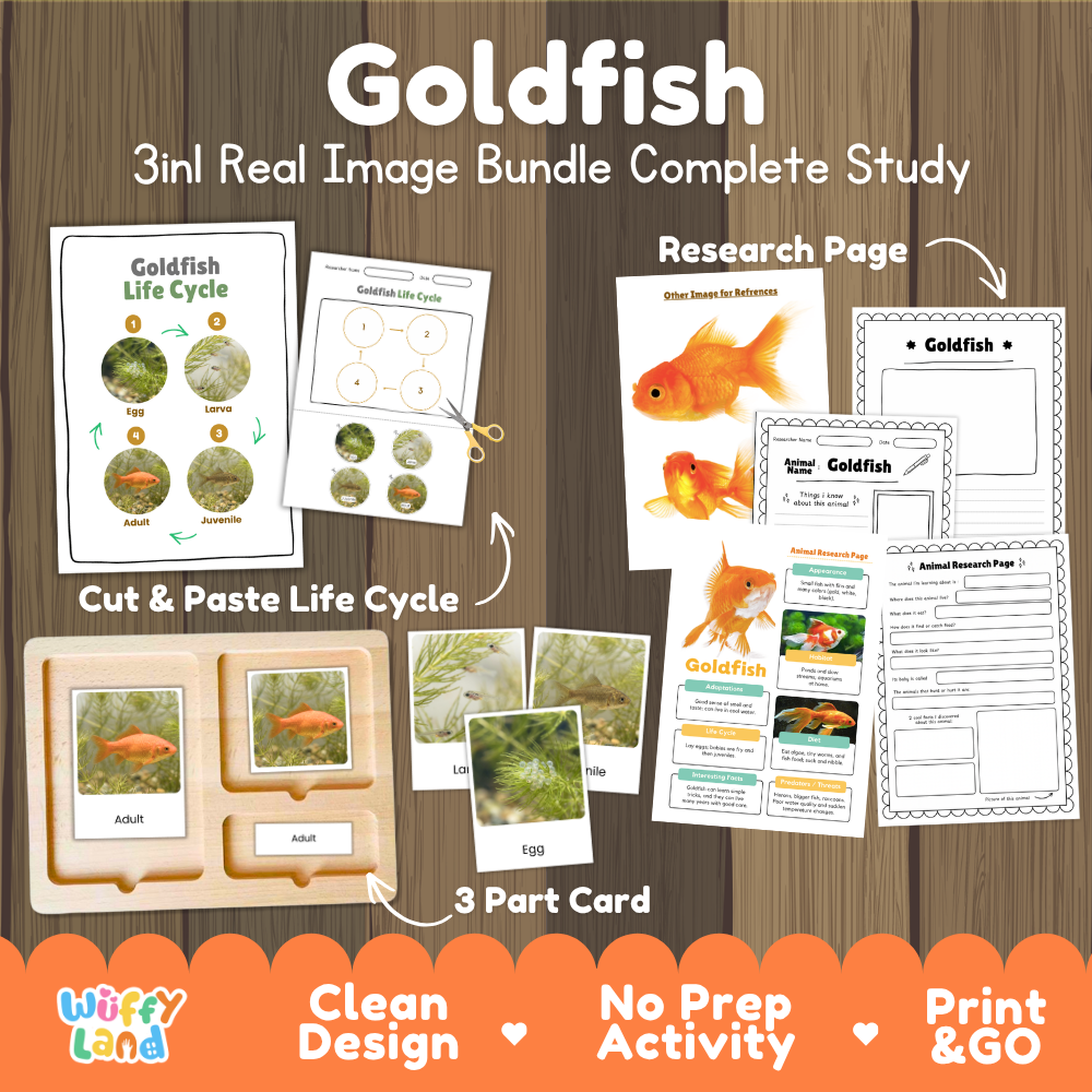 Goldfish 3-in-1 real image bundle complete study cover showing cut and paste life cycle, 3 part cards, and research pages