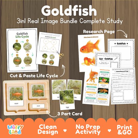 Goldfish 3-in-1 real image bundle complete study cover showing cut and paste life cycle, 3 part cards, and research pages