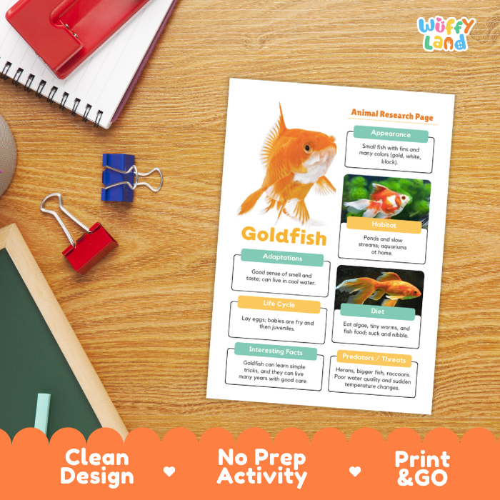A goldfish-themed educational poster titled 'Animal Research Page' with a large goldfish photo and text sections, displayed on a wooden desk with notebooks, binder clips, and an orange 'Clean Design No Prep Activity Print & GO' banner at the bottom. The 'Wiffly Land' brand logo appears in the top right corner.