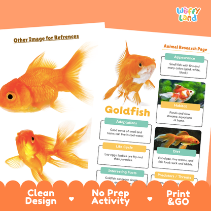 Educational activity sheet about goldfish from the brand Wiffly Land, featuring a large photo of an orange goldfish, a sample animal research page, and orange decorative banners at the bottom highlighting 'Clean Design', 'No Prep Activity', and 'Print & GO'.