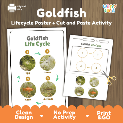 Goldfish Life Cycle Poster and Cut and Paste Worksheet Activity