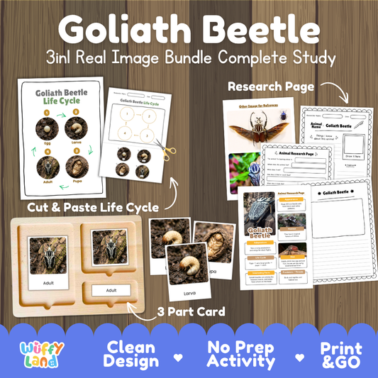 Goliath Beetle 3-in-1 real image bundle complete study cover showing cut and paste life cycle, 3 part cards, and research pages