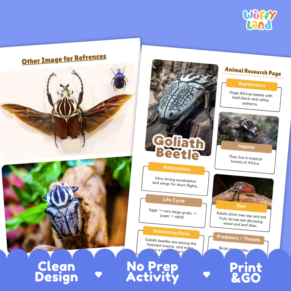 Goliath Beetle Animal Research Page Worksheets