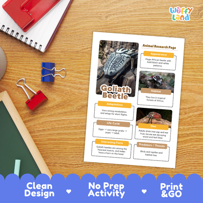 Goliath Beetle Animal Research Page Worksheets