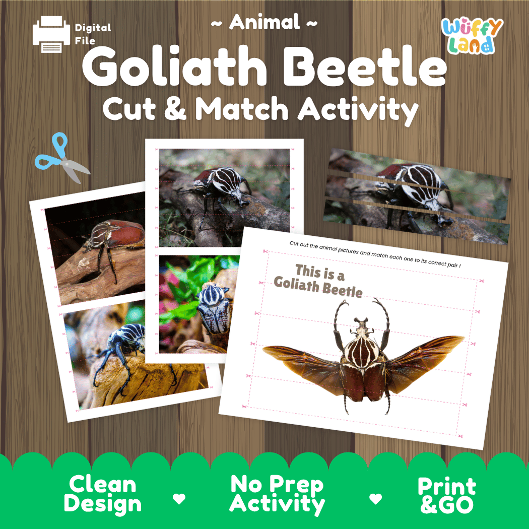 Goliath Beetle Cut and Match Activity Printables Worksheets