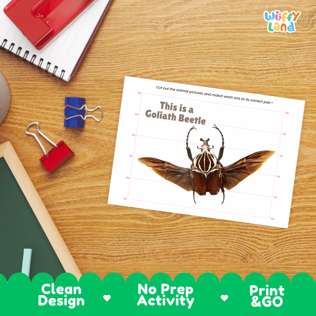 Goliath Beetle Cut and Match Activity Printables Worksheets