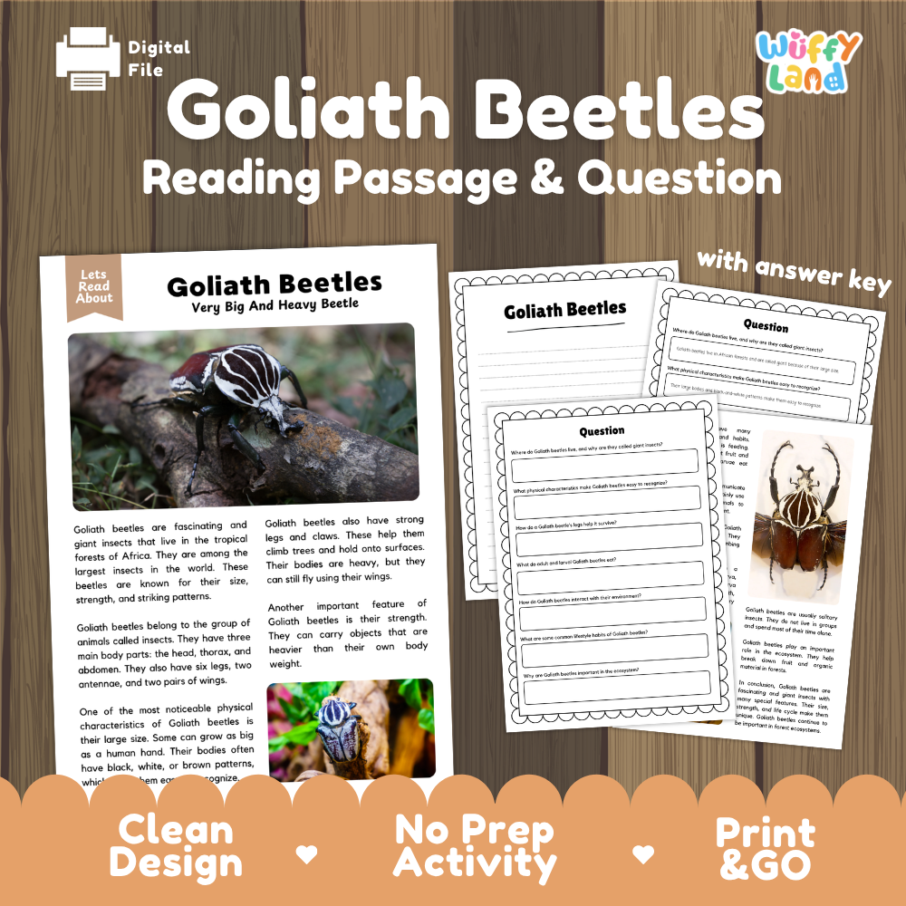 Digital reading activity bundle for 'Goliath Beetles' by Wiffly Land, featuring a digital file preview, a sample reading passage page, worksheet pages with answer key, and promotional badges on a wood-textured background.