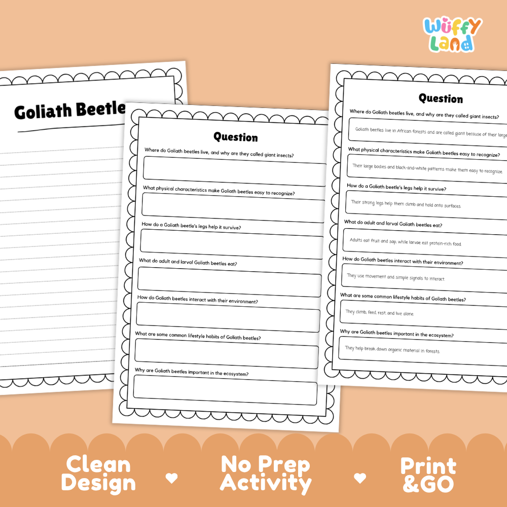 Three printable worksheet pages about the Goliath Beetle displayed on a peach background with promotional text reading 'Clean Design,' 'No Prep Activity,' and 'Print & GO.' The top-right corner shows the brand name 'Wiffly Land.
