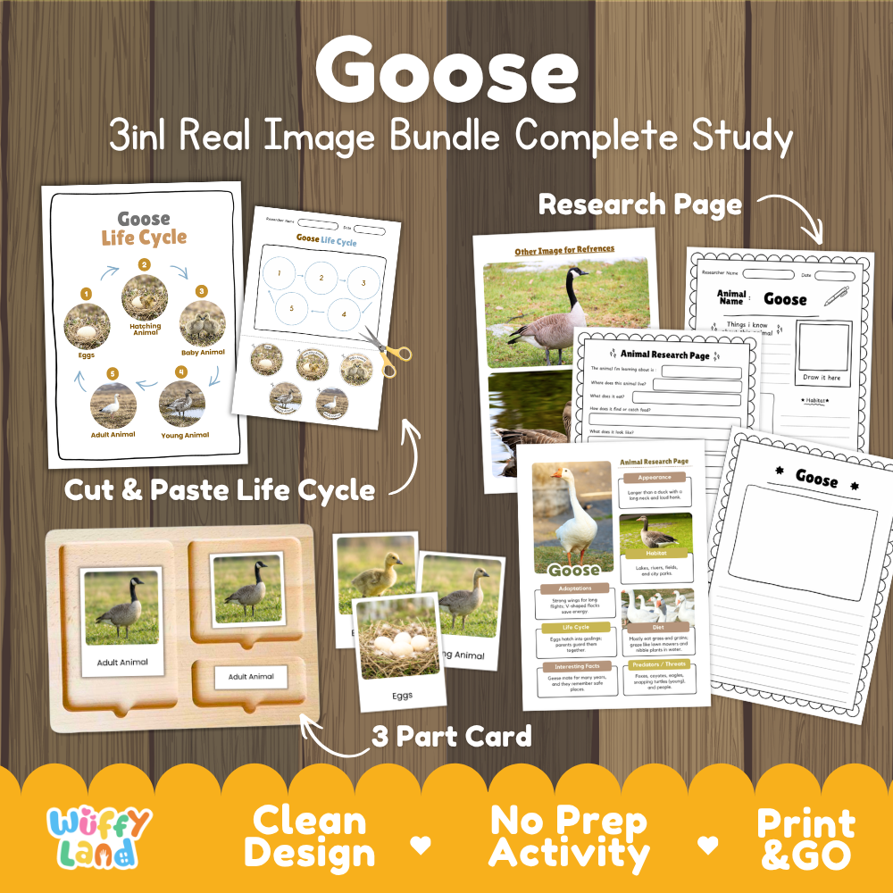 Goose 3-in-1 real image bundle complete study cover showing cut and paste life cycle, 3 part cards, and research pages