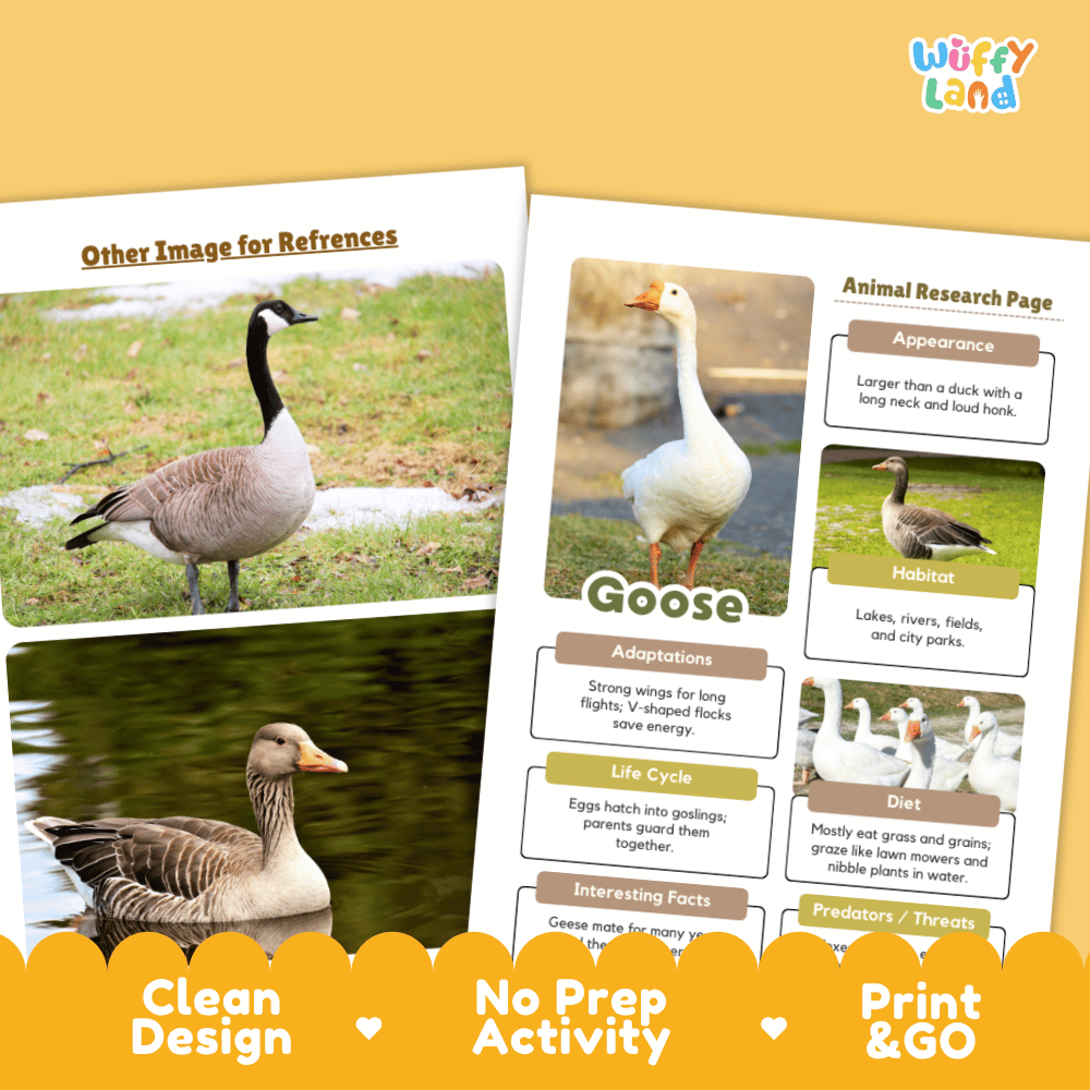 Two printed educational poster pages about geese displayed on a warm tan background. The left page shows two reference photos of geese, and the right page has a labeled animal research layout with headings like Appearance, Habitat, Adaptations, Life Cycle, Diet, and Interesting Facts.