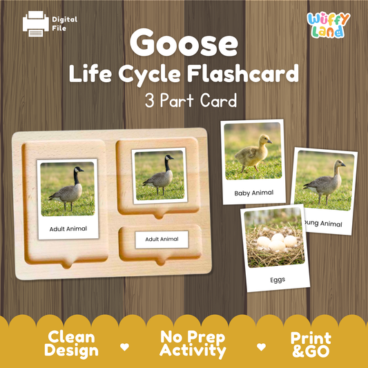 Geese Life Cycle Flashcard set by Wiffy Land, featuring a wooden 3-part card tray with labeled sections for adult animal, baby animal, and eggs, shown on a wood-grain background with digital file and print & go badges.